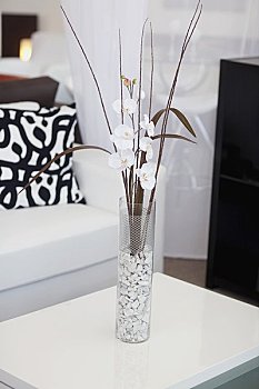 鐘點工多少錢一小時？揭秘你的生活“幫手”背后的真實價格